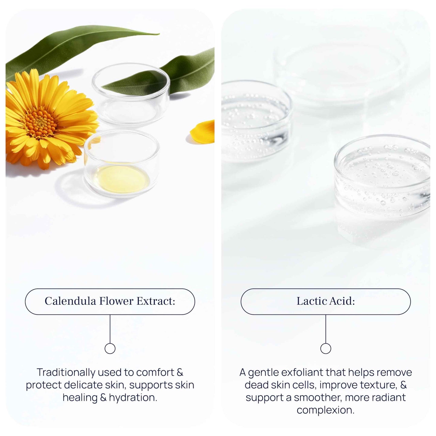 PUREANCE Cleansing Foam - Face Wash for Women - Gentle Foaming Facial Cleanser - Sensitive Skin Facewash - With Calendula, Chamomile, Lactic Acid & More - 5.07 Fl Oz