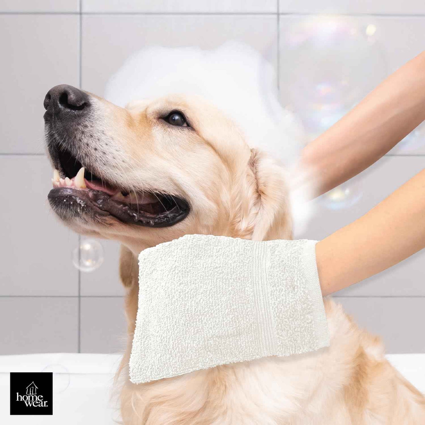 Homewear High Rise Stripe 6 Pack 6 x 8.5 Wash Mitt Set, Low Twist, Highly Absorbent, Gentle Hand and Face Cloth, European Style with Loop, White