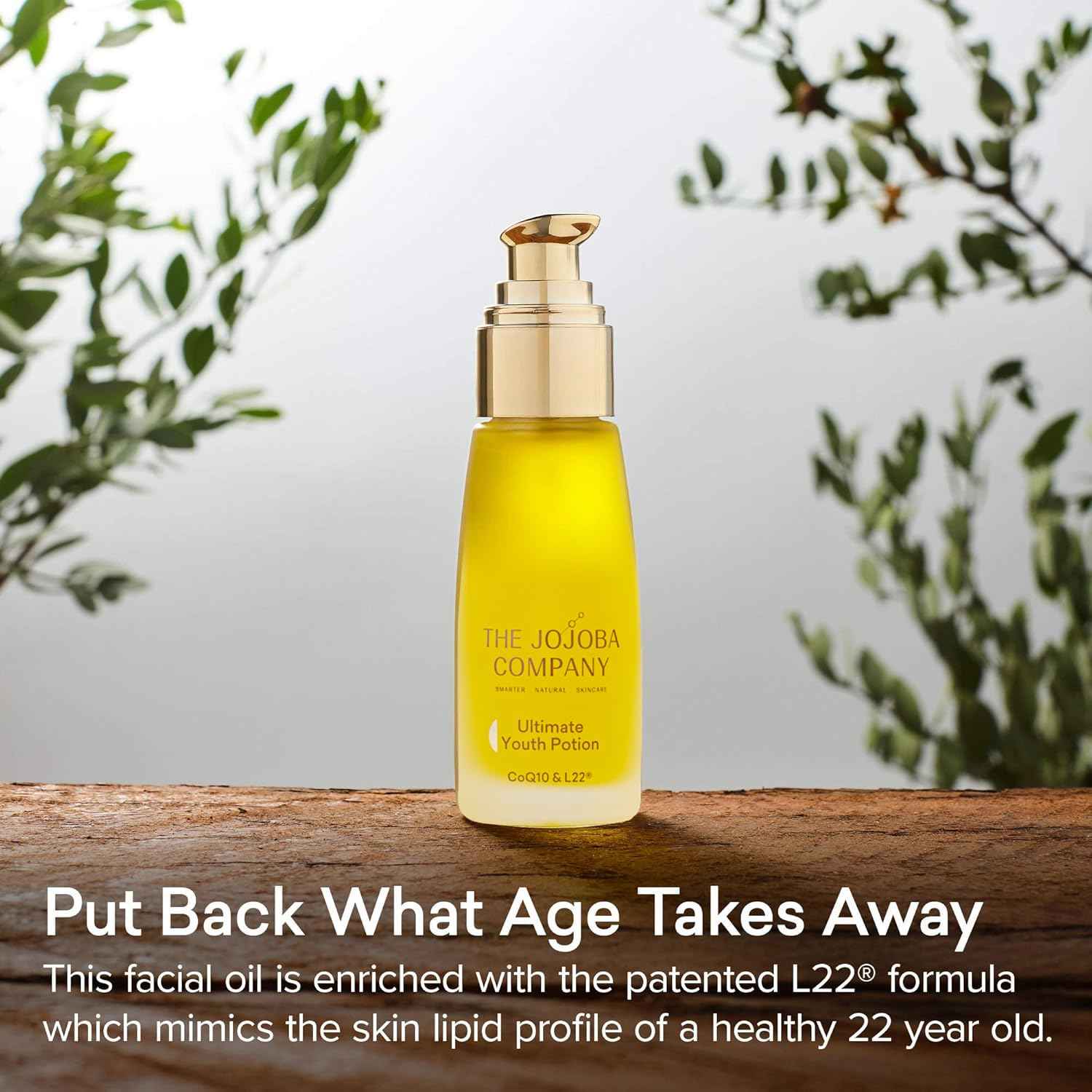 The Jojoba Company Ultimate Youth Potion, Maintains Youthful Glow, Improves Skin Elasticity & Firmness, Enriched w/Patented L22 Formula - Restores Skin Lipid Profile of a Healthy 22 Year Old, 50ml