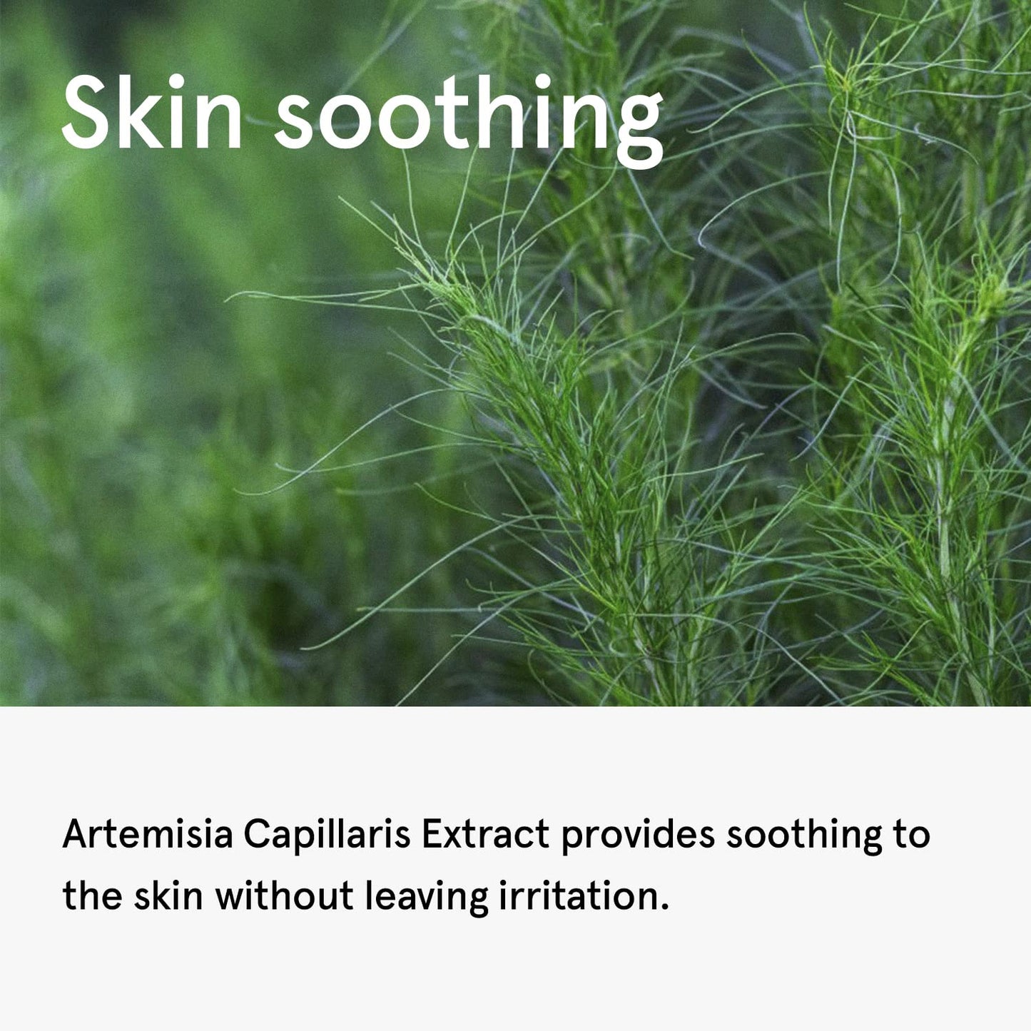 ONE THING Artemisia Capillaris Extract Mugwort Toner 5.07 Fl Oz | Soothing Hydrating Daily Facial Extracto Dull Oily Acne Prone Sensitive Uneven Skin Redness Irritation Relief | Vegan Korean Skin Care