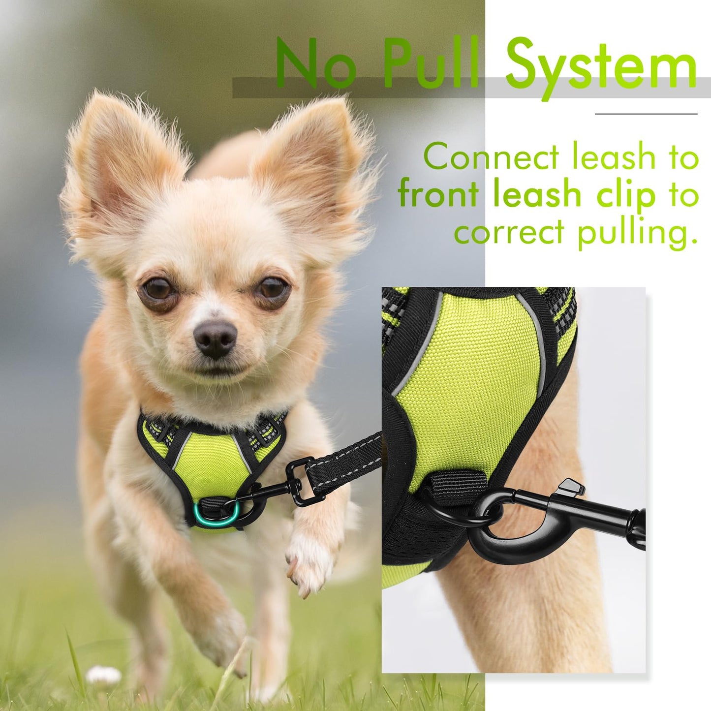 rabbitgoo Dog Harness, No-Pull Pet Harness with 2 Leash Clips, Adjustable Soft Padded Dog Vest, Reflective No-Choke Pet Oxford Vest with Easy Control Handle for Small Dogs, Wild Lime, XS