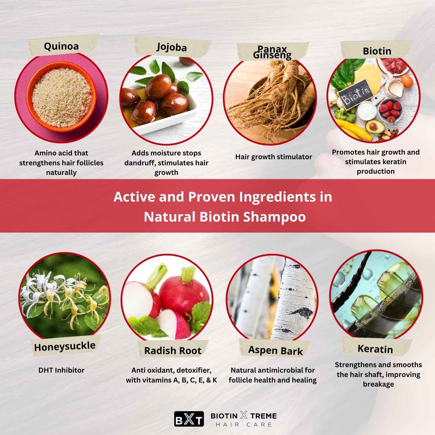 Biotin X Treme Hair Natural Shampoo for Hair Loss & Thinning Hair - Color-Safe, DHT Blocker, Sulfate-Free, Paraben-Free - For Men & Women - Promotes Hair Growth, Strengthens, and Thickens - 16 oz