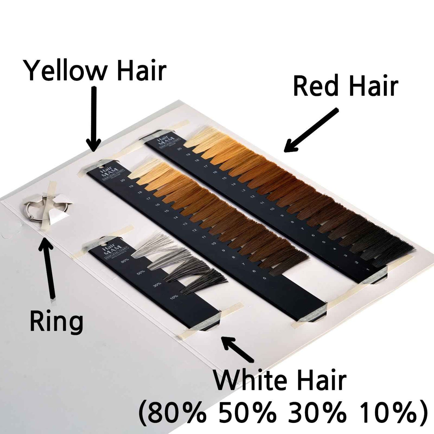 Hair Level Scale Chart Set Checking Brightness For Hair Salon and Hairdresser