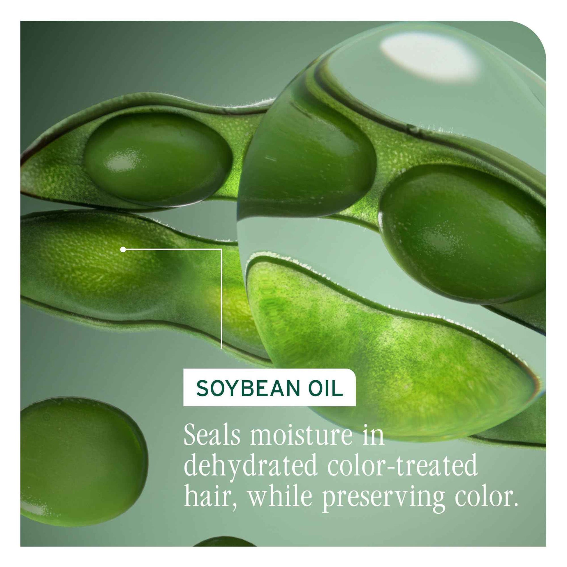 Biolage Color Last Shampoo Refill - For Color-Treated Hair, Nourishes, Strengthens, Hydrates and Adds Shine, Soybean Oil & Stearic Acid, Paraben & Mineral Oil-Free, Vegan, 16.9 Fl Oz