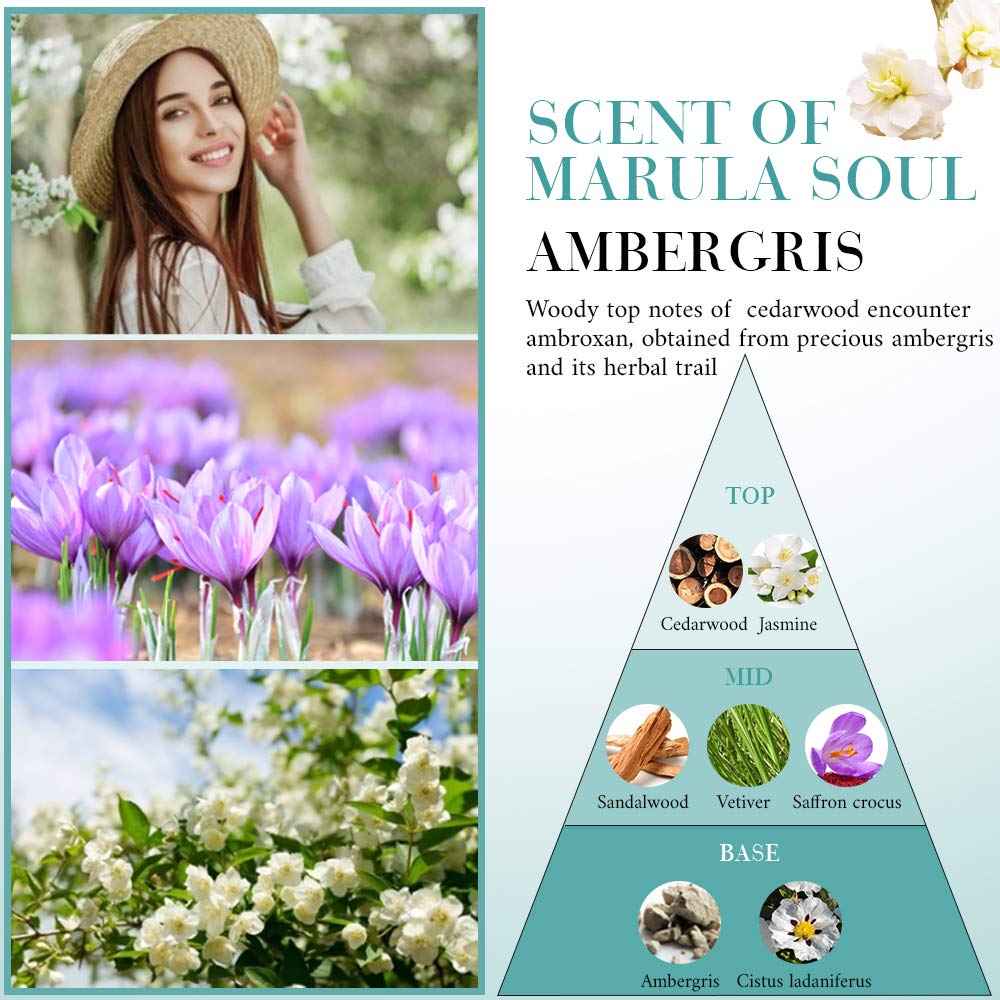 OPPEAL Travel Size 2in1 Shampoo & Conditioner with Marula Oil - 1.05 oz - Hotel Size for Use in Vacation Rental/Guest Room-SLS and Paraben Free-Ambergris Scent(100 Pack)