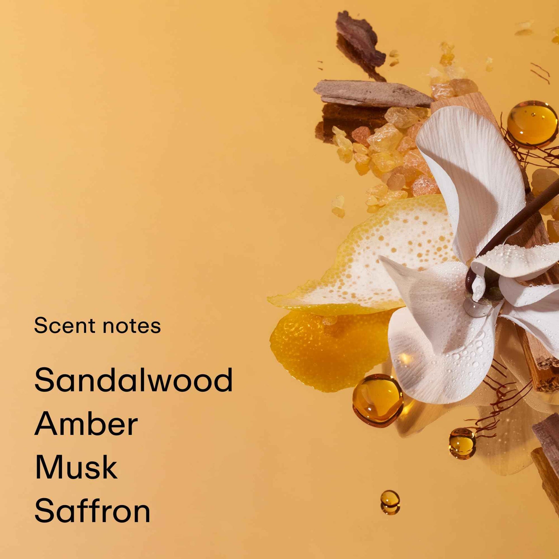 PHLUR Somebody Wood Eau de Parfum - Travel Size Perfume for Women & Men Fragrance - Spicy Woody Perfume with Bergamot, Lemon, Cedarwood, Sandalwood, Musk & Vanilla (9.5mL)