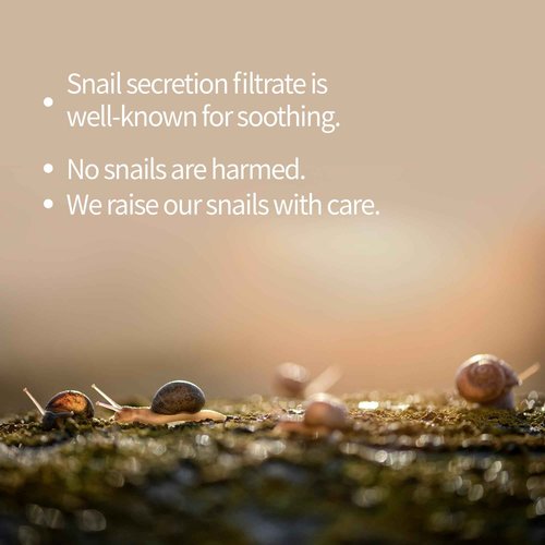 BENTON Snail Bee High Content Mask Pack (20g / 10 Sheets) - Snail Mucin Face Mask With Bee Venom | Korean Skin Care Face Mask Sheets For Moisturizing, Soothing and Nourishing