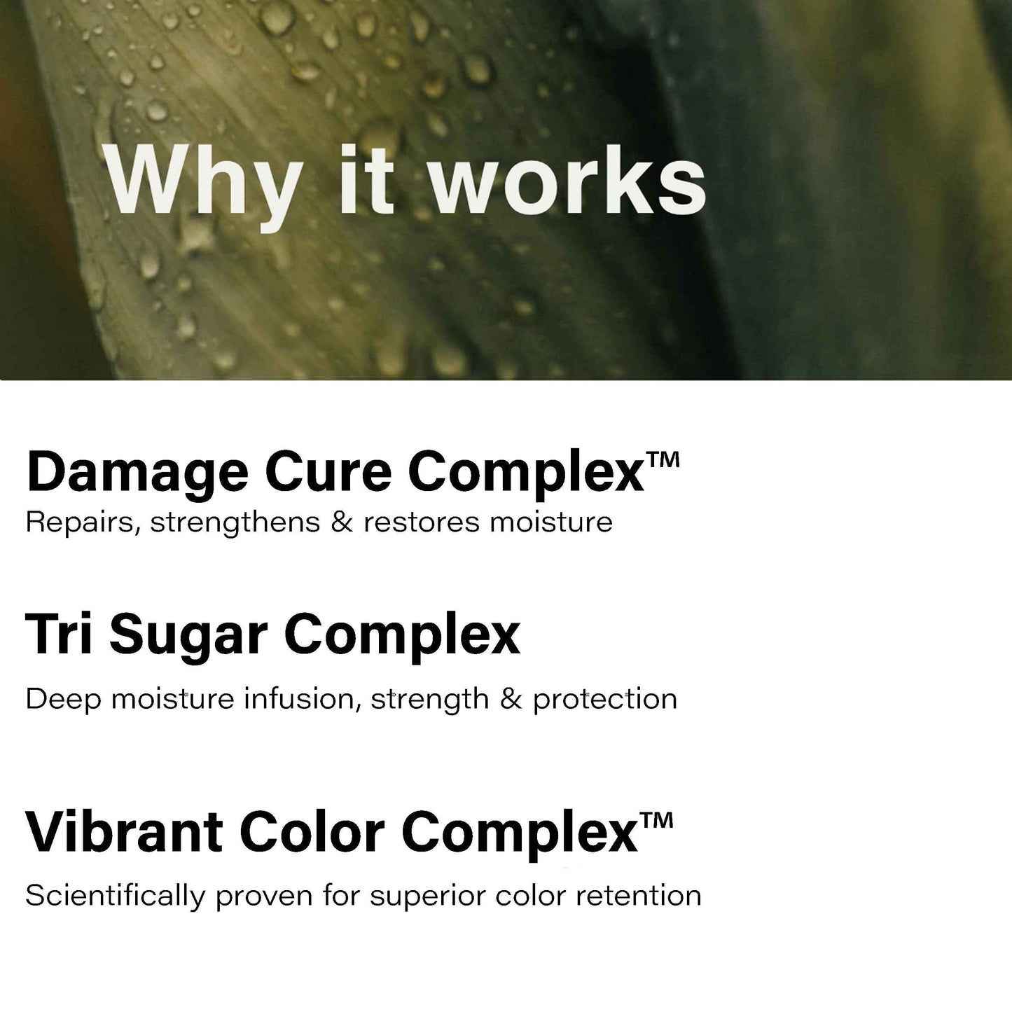 Eufora Beautifying Elixirs Moisture Masque 5 Oz