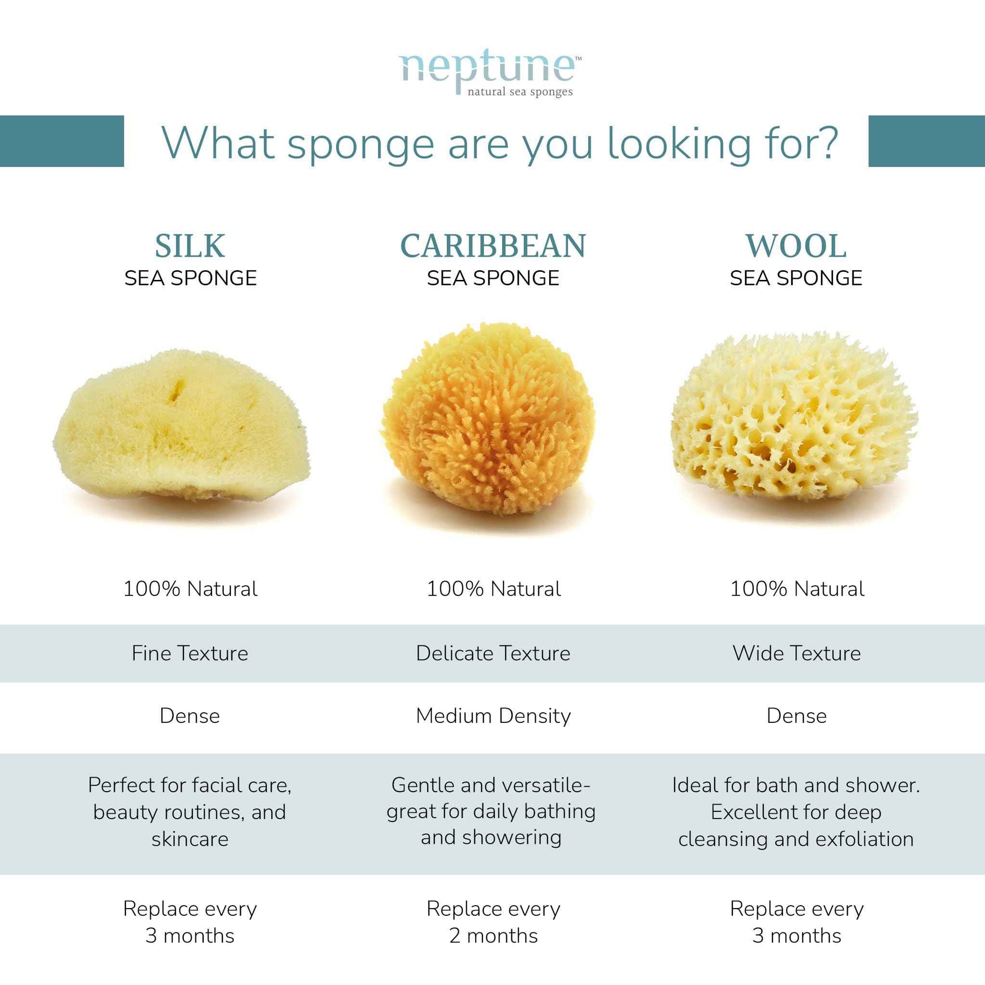 Neptune Sea Wool Sponge – Natural Mediterranean Bath Sponge, Hand-Cut, Extra-Large, Approx. 8-9", Gentle Exfoliation for Body & Skincare