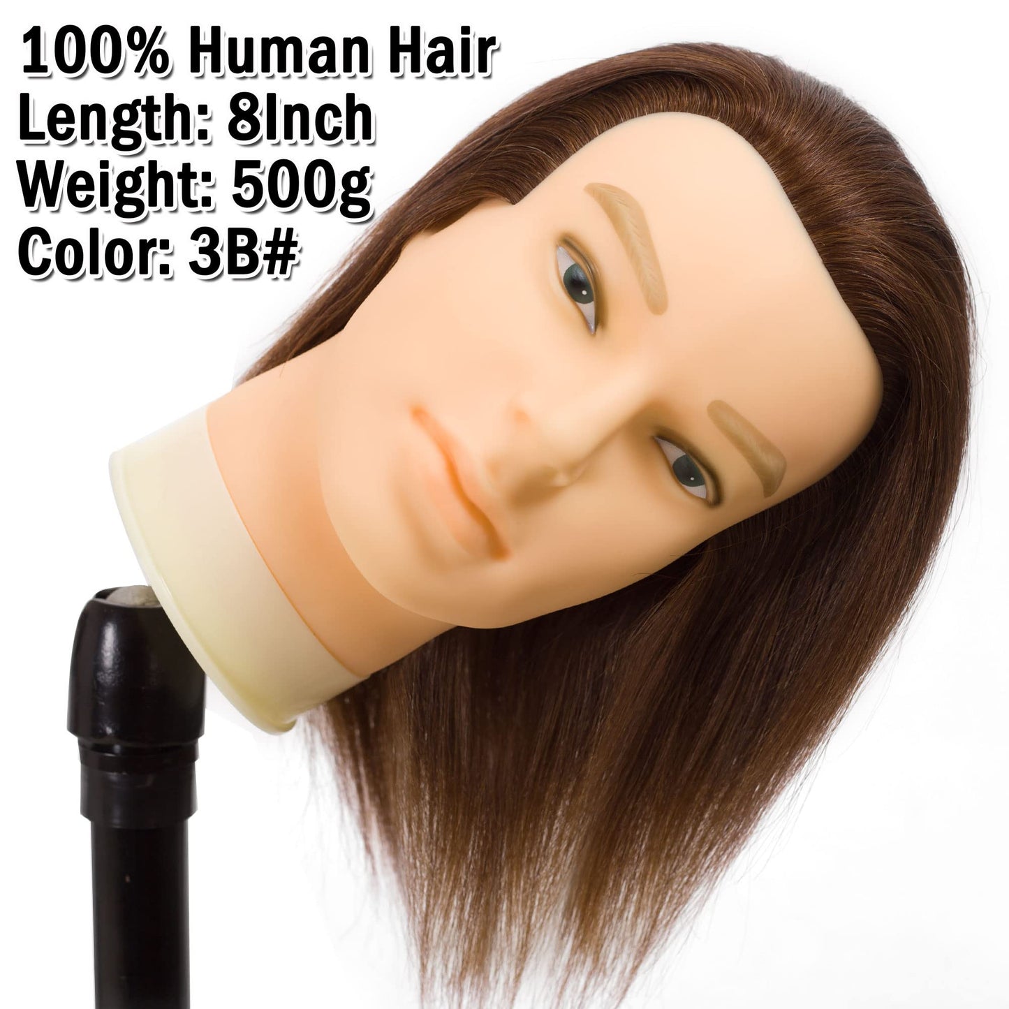 DIRUISI Male Mannequin Head with 100% Human Hair Haircut Training Head Hairdresser Manikin Head Doll Head for Hair Styling and Practice (8Inch 3B#)