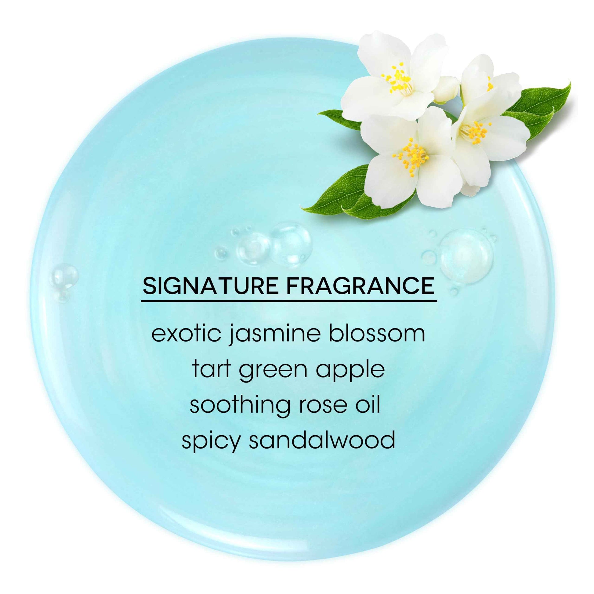 Bain de Terre Moisturizing Shampoo and Conditioner Set | Jasmine | Hydrates & Moisturizes Dry, Damaged Hair | Argan & Monoi Oils | Paraben Free | Color-Safe | 13.5 Fl Oz