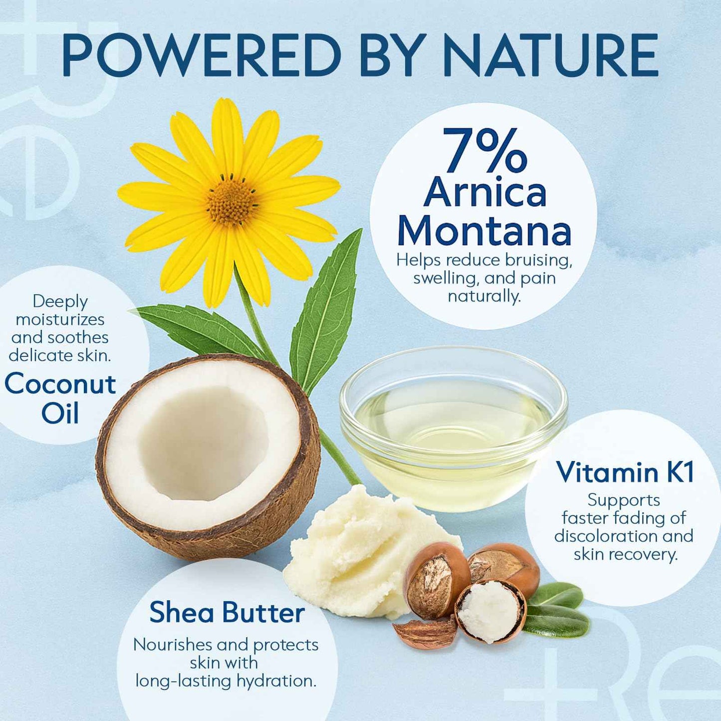 Arnica Bruise Cream Extra Strength: Rapid Relief for Bruising Swelling Soreness Pain on Thin Skin - Potent Arnica Montana with Vitamin K Coconut Shea Butter - Face & Body