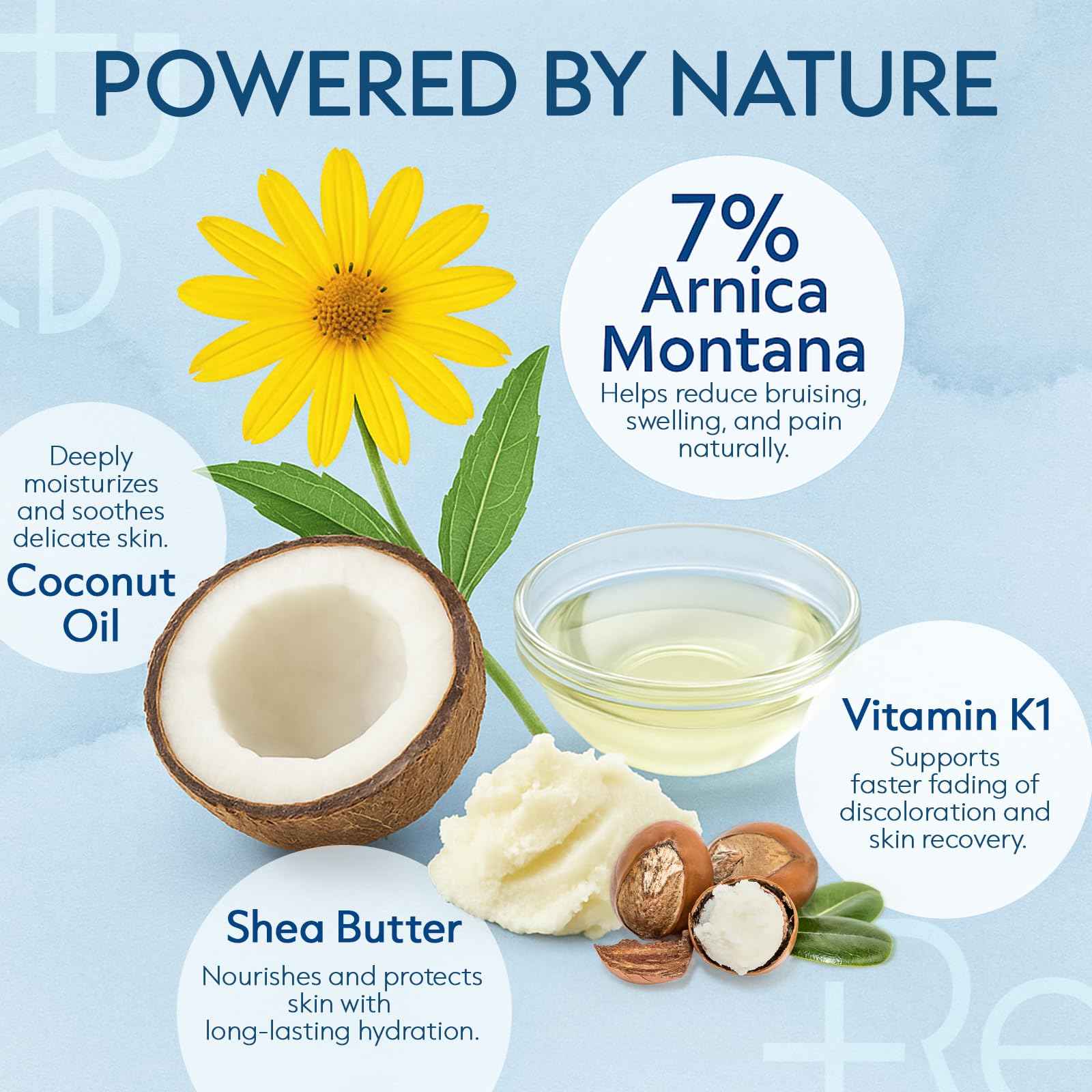 Arnica Bruise Cream Extra Strength: Rapid Relief for Bruising Swelling Soreness Pain on Thin Skin - Potent Arnica Montana with Vitamin K Coconut Shea Butter - Face & Body