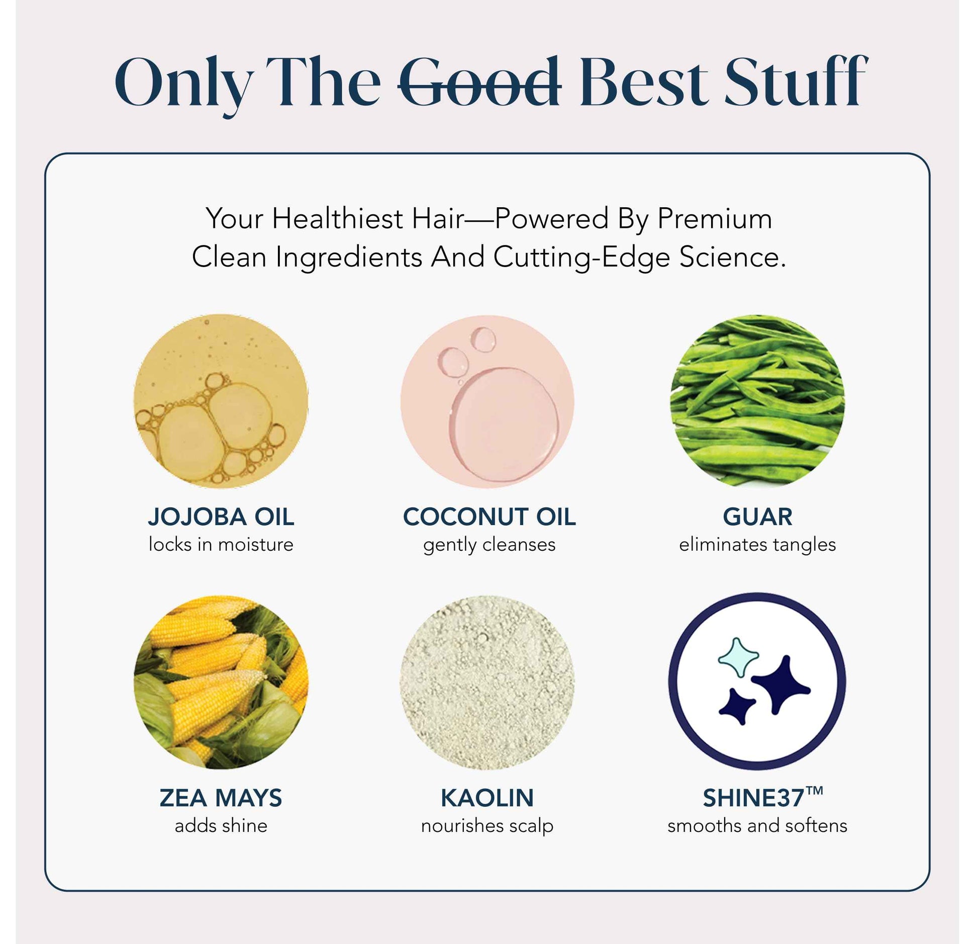 SMALL WONDER® Signature Shampoo – 2.5 oz (50-80 Washes) – Sulfate-Free, Paraben-Free, Color-Safe, Powder-to-Creamy-Lather Formula – For Shinier, Smoother Hair