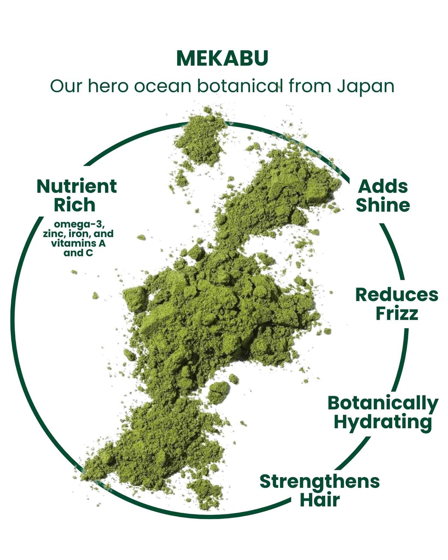 MASAMI Mekabu Hydrating Styling Cream | Curl Cream for Curly Hair | Sulfate/Paraben/Phthalate Free | Vegan & Cruelty Free | Salon Qualty | All Hair Types & Textures | Curl Defining