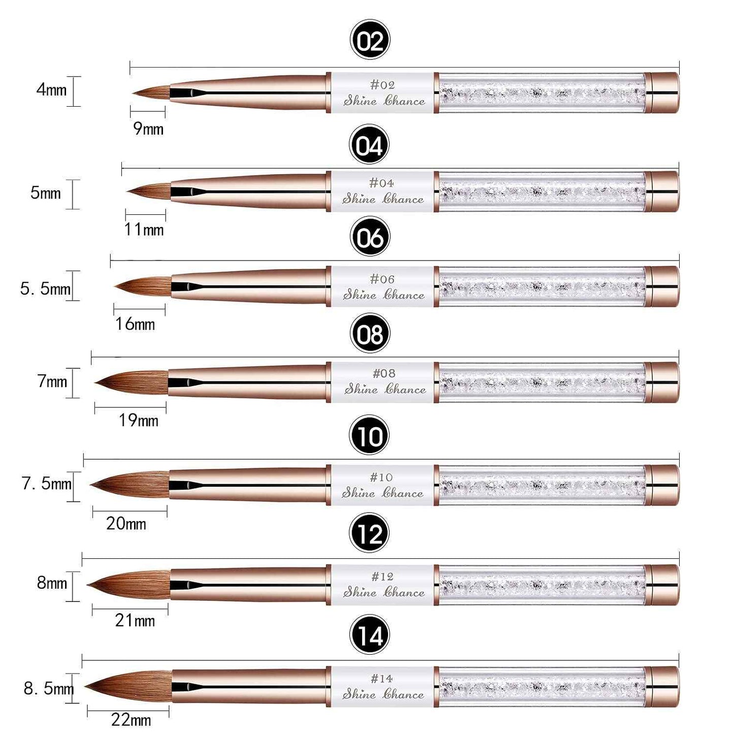 Shine Chance 2Pcs Acrylic Nail Art Brush Size 12, 100% Pure Kolinsky Hair Oval Nail Brush for Acrylic Application, Professional Nail Extension Manicure Tool Striping Nail Drawing Pen for Home Salon