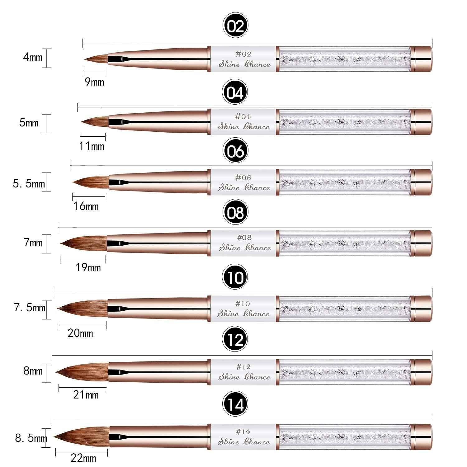 Shine Chance 2Pcs Acrylic Nail Art Brush Size 12, 100% Pure Kolinsky Hair Oval Nail Brush for Acrylic Application, Professional Nail Extension Manicure Tool Striping Nail Drawing Pen for Home Salon