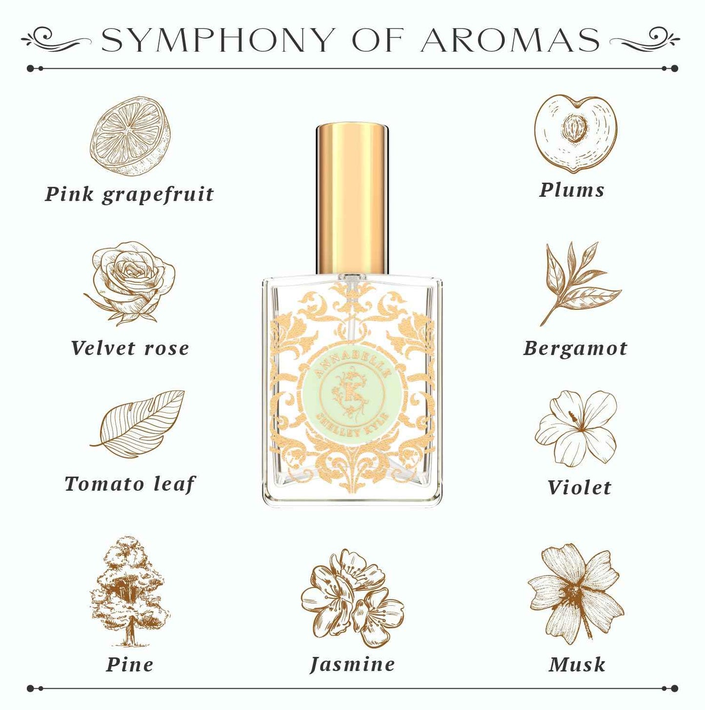 Shelley Kyle Unveiling Exquisite Fragrances with Travel Size Women's Perfume. Discover Enchanting and Tease Scents, Plus Floral Annabelle Perfume, 30 ml