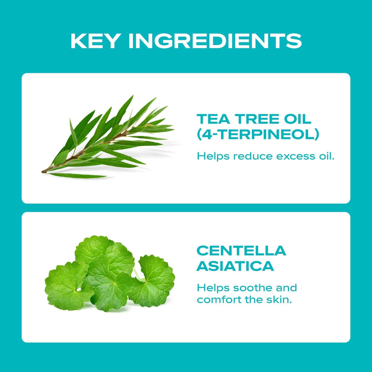 BLANC NATURE – Magic Tea Tree Oil for Face, Clarifying Facial Oil for Oily & Sensitive Skin, Lightweight Daily Care with Tea Tree, Skin-Balancing Vegan Korean Skincare, 0.7 fl oz