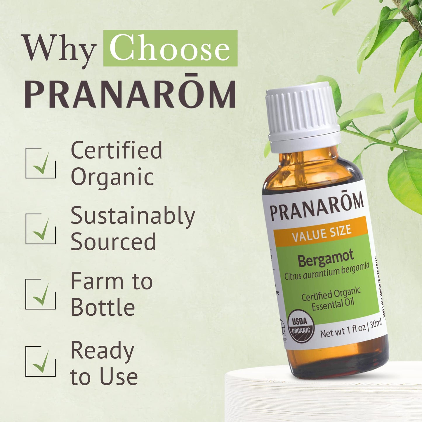 Pranarom USDA Certified Organic Bergamot Essential Oil (30ml), 100% Pure Undiluted Therapeutic Grade from Italy for Aromatherapy, Diffuser, Uplifting Scent, Immune Support, Relaxation, Sleep