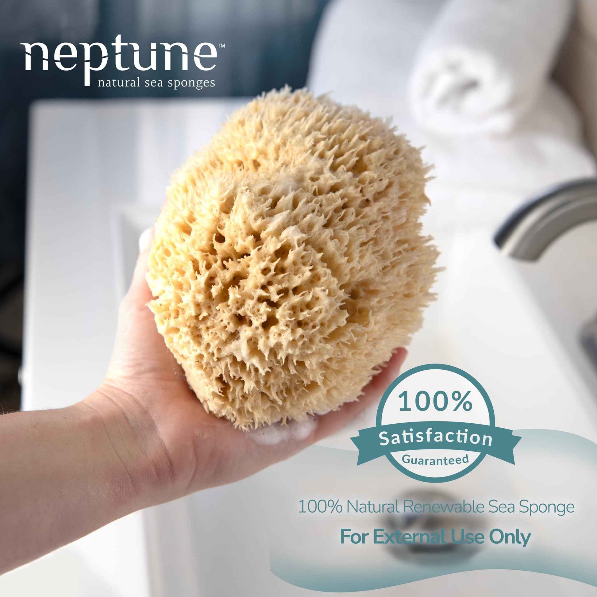 Neptune Sea Wool Sponge – Natural Mediterranean Bath Sponge, Hand-Cut, Extra-Large, Approx. 8-9", Gentle Exfoliation for Body & Skincare