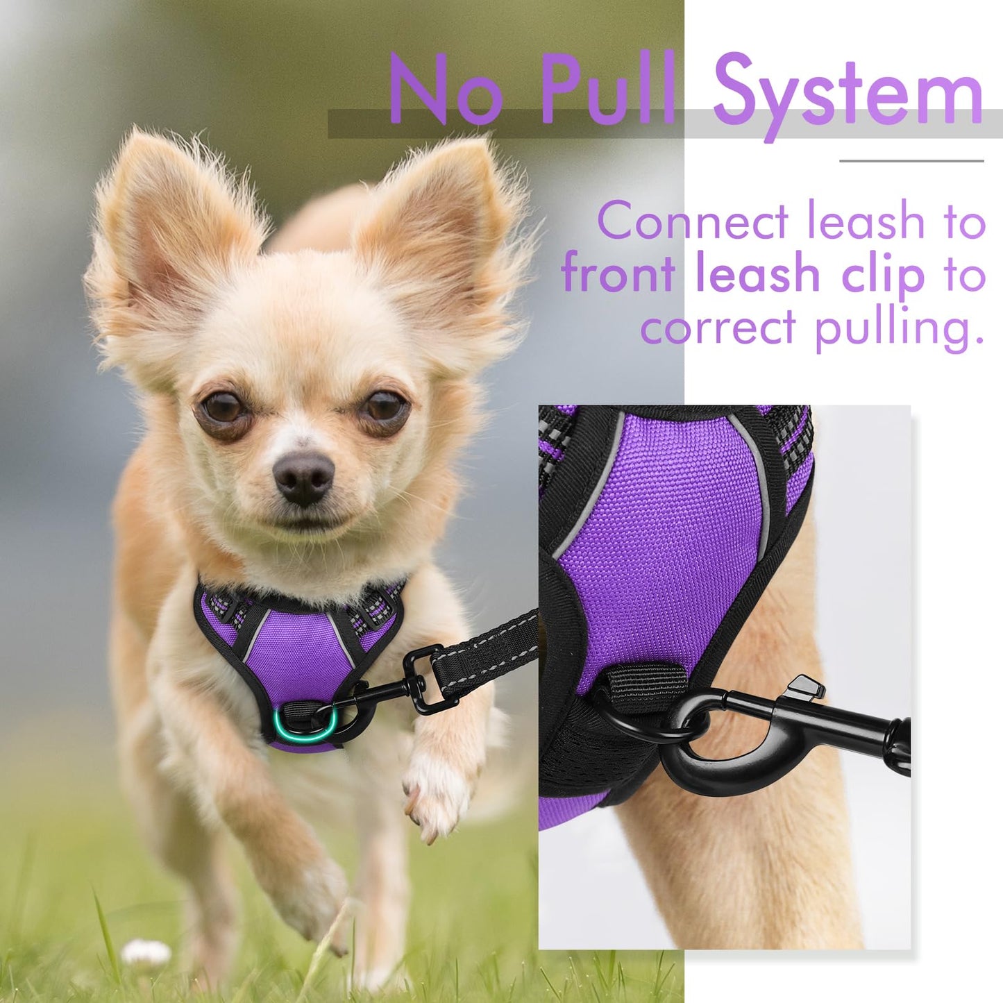 rabbitgoo Dog Harness, No-Pull Pet Harness with 2 Leash Clips, Adjustable Soft Padded Dog Vest, Reflective No-Choke Pet Oxford Vest with Easy Control Handle for Small Dogs, Purple,XS