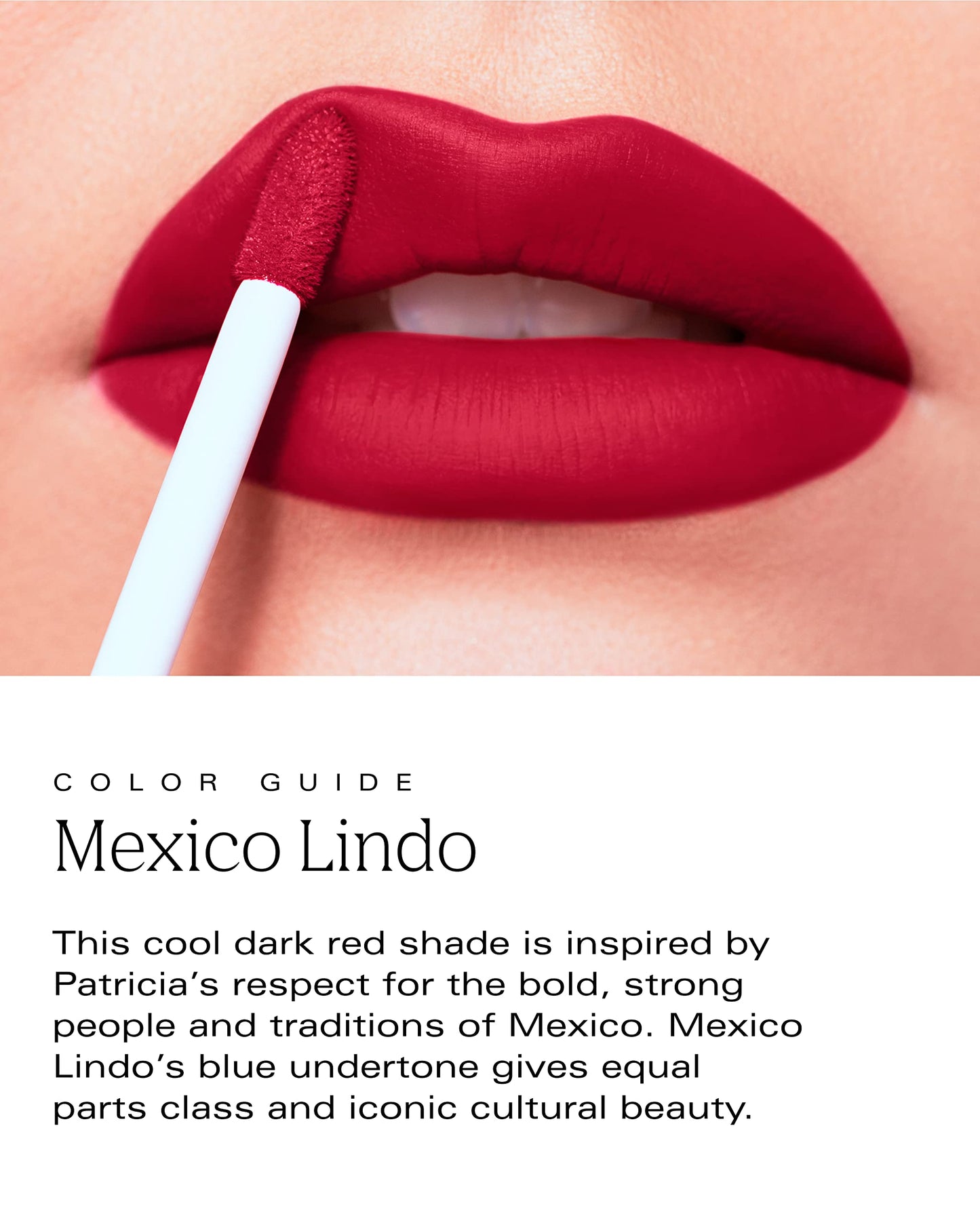 PDL Cosmetics Bold Aspirations Liquid Lipstick (Mexico Lindo) | Highly Pigmented Smooth Matte Finish | Blue-Red Tone | Long Lasting, Non-Transfer, Hydrating Formula | Vegan | Cruelty-Free | .14 fl oz