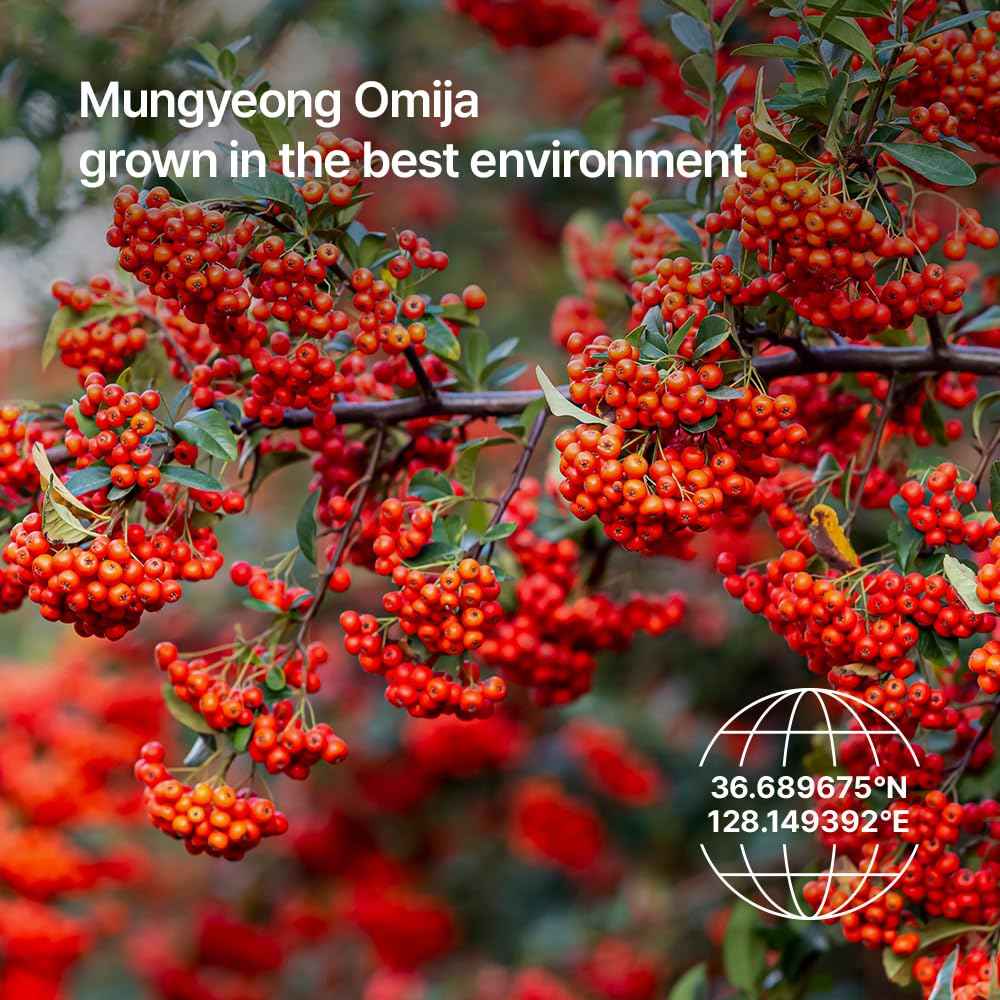 Parnell AHA 9.12% Omija Ceramic Peeling Pads (60 Count) | Gentle Daily Exfoliating Toner Pad with LHA PHA Vitamin C | Smooth Clear Look Korean Skin Care