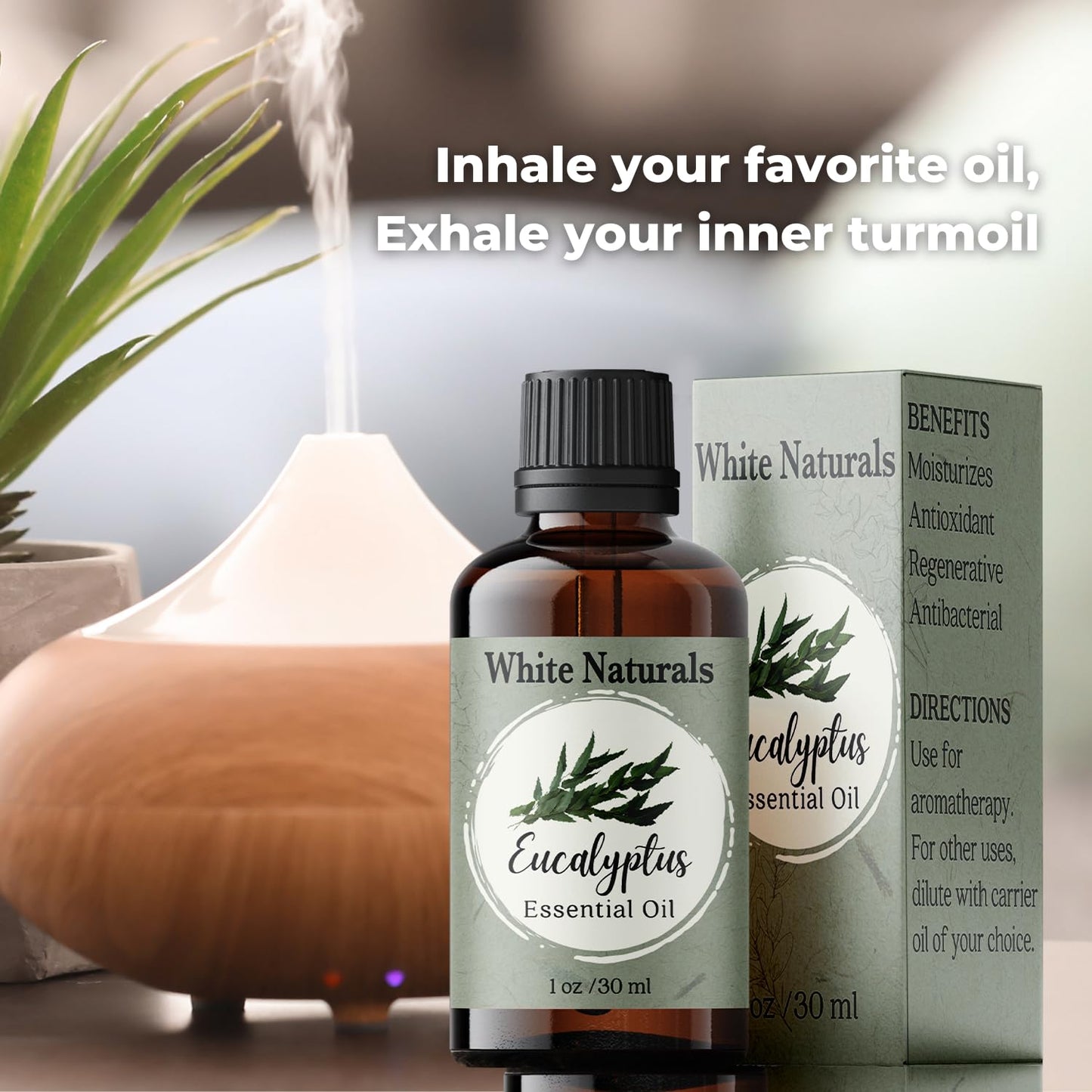 Organic Eucalyptus Essential Oil - 100% Pure & Natural -Premium Therapeutic Grade - Undiluted Homeopathic Aromatherapy Scented, Great for DIY Soap Making, Massage