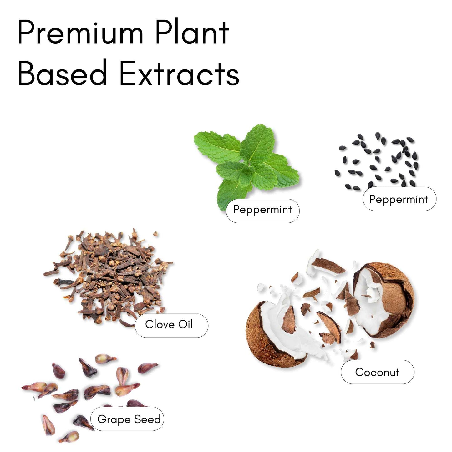 Merakk Coconut Oil Pulling Whitening Mouthwash for Teeth & Gums | Doctor Formulated | Natural Ayurvedic Oil, Clove & Grape Seed Oil - Oral Rinse - 6.8oz