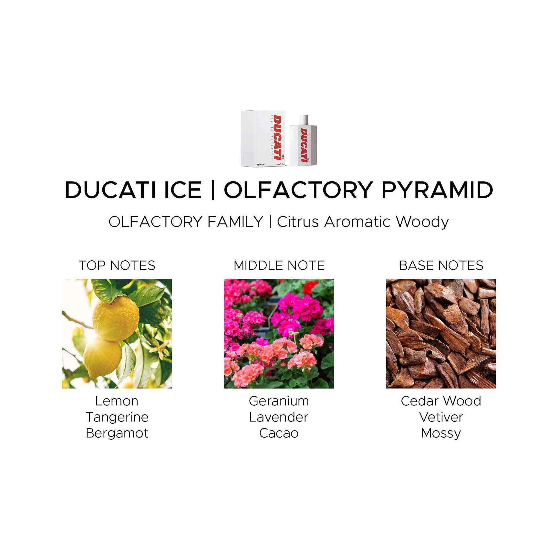 Ducati Ice by Ducati - Fragrance for Men - Woody Aromatic Scent - Opens with Tangerine, Lemon and Bergamot - Blended with Lavender and Sage - Perfect for Young-Spirited Gentleman - 3.4 oz