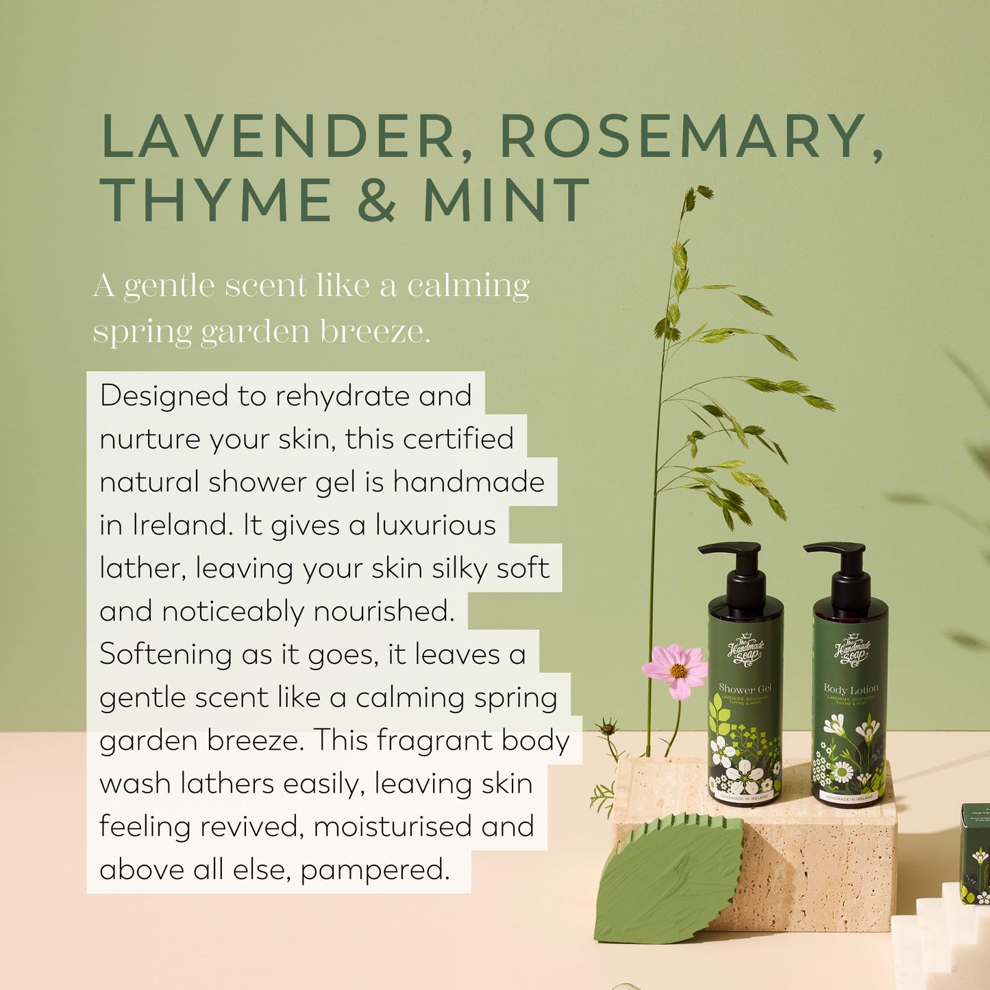 The Handmade Soap Company Shower Gel, Lavender, Rosemary, Thyme & Mint Body Wash, Liquid Bath Soap, Moisturizing Body Wash, Cruelty Free & Vegan Shower Gel, 10 fl oz