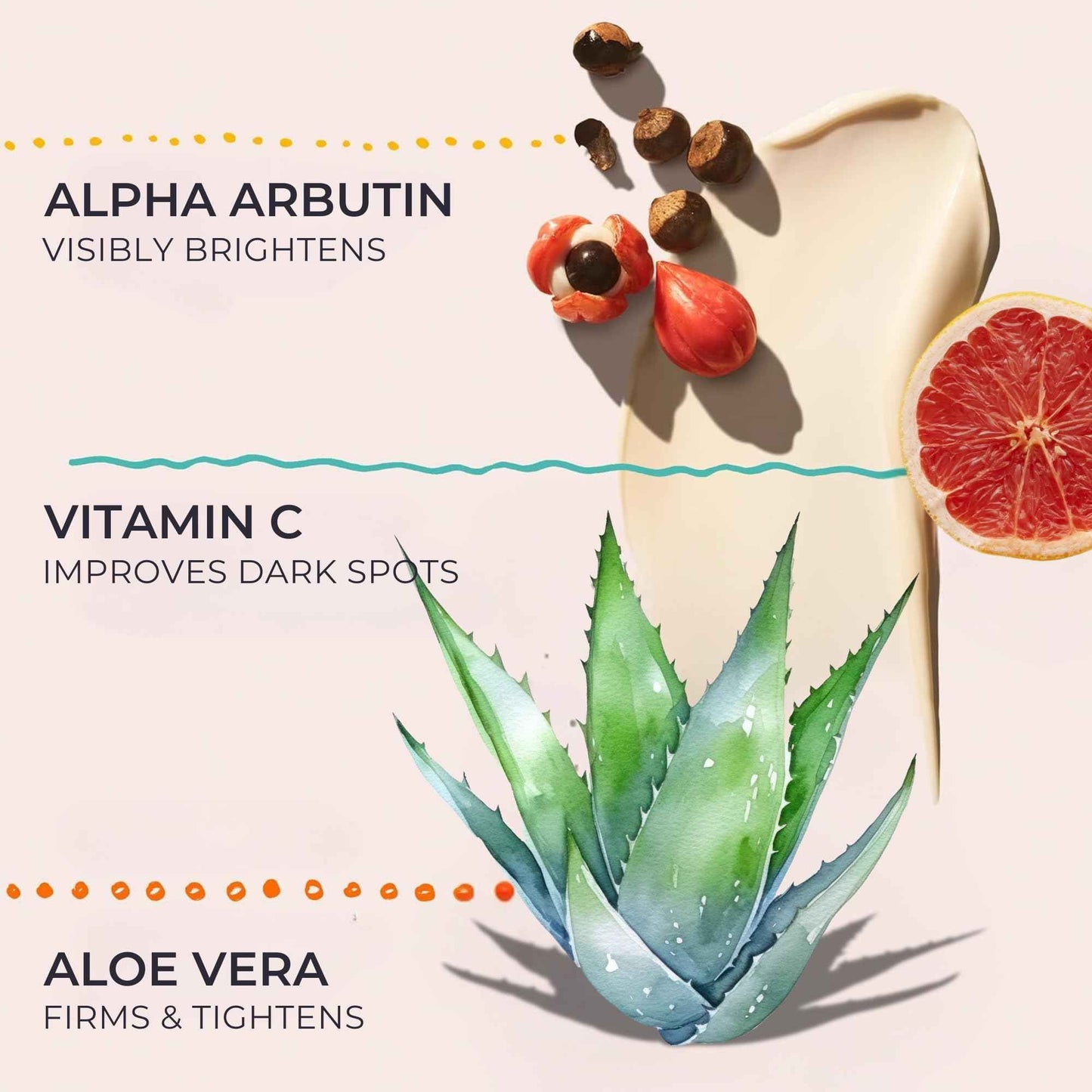 PANIM Brighter Days Collagen Cream for Face – Anti-Aging Face Cream with Marine Collagen, Hyaluronic Acid, Niacinamide. Firms & Brightens, Fades Dark Spots, Wrinkles, Dull Skin 3.4 fl oz