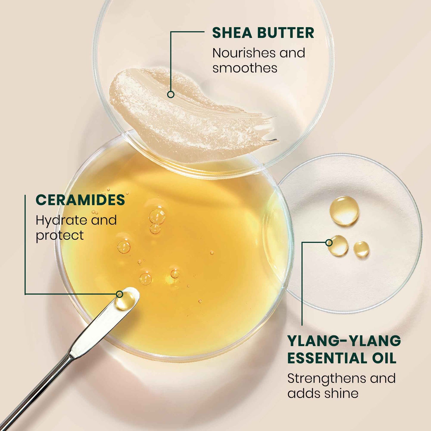 René Furterer Sublime Karité Professional Taming Cream - Shea butter, Ylang-Ylang Essential Oil & Ceramides 3.3 fl oz.