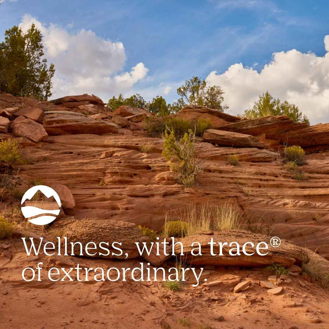 Trace Minerals | ConcenTrace® Mineral Mouth Rinse | Gentle Mouth Rinse, Fresh Breath | Alcohol Free, Certified Vegan, Gluten Free, Non-GMO | Mint | 10 oz (Pack of 2)