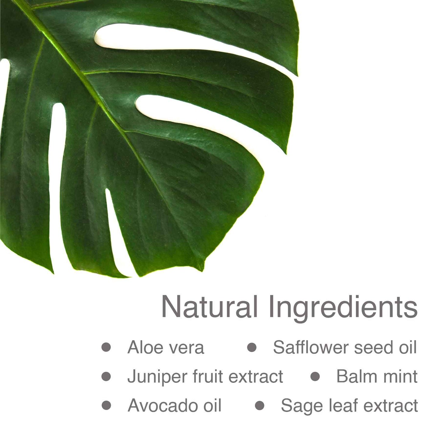 Pharmagel DN-24 Hydracrème - Intensive Vitamin Moisturizer - Day and Night Face and Neck Cream For Normal, Dry, and Aging Skin - 2 oz