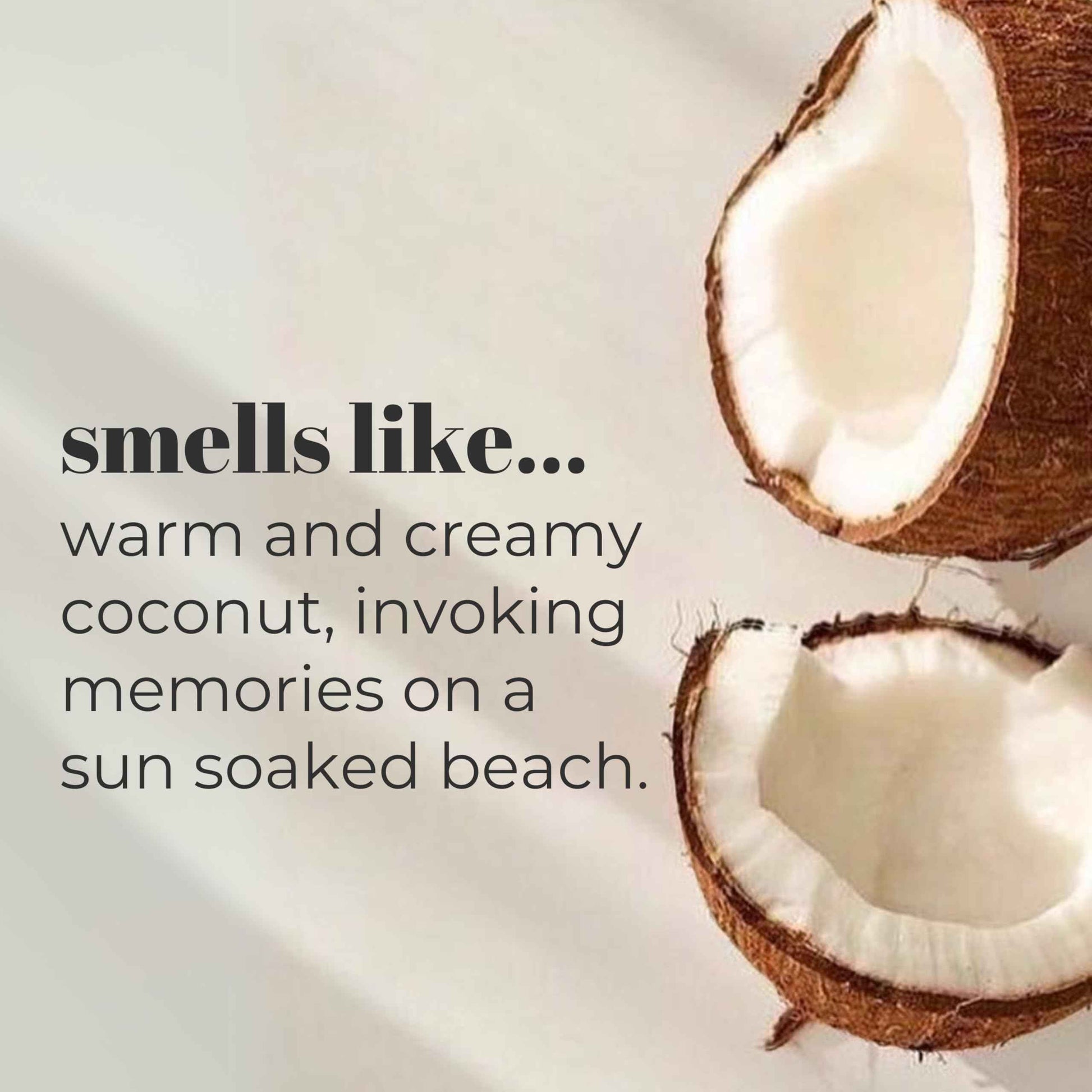 Mountain Ocean Skin Trip Coconut Body Lotion, 16 Oz Pump, Lightweight, Fast Asborbing Moisturizer for Women and Men, with Coconut Oil, Aloe Vera, & Lanolin