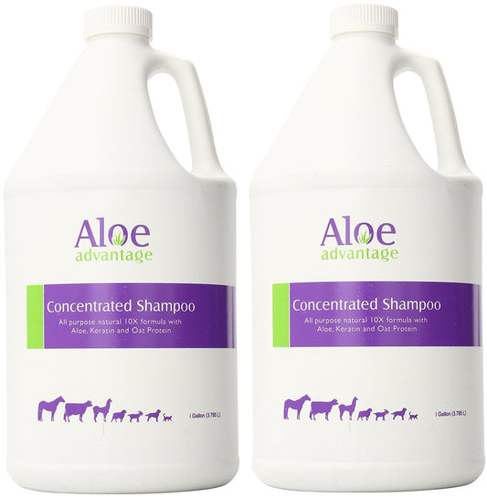 (2 Pack) Aloe Concentrated Shampoo