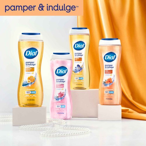Dial Body Wash, Pamper & Indulge, Silk & Seaberry, 16 fl oz (Pack of 4)