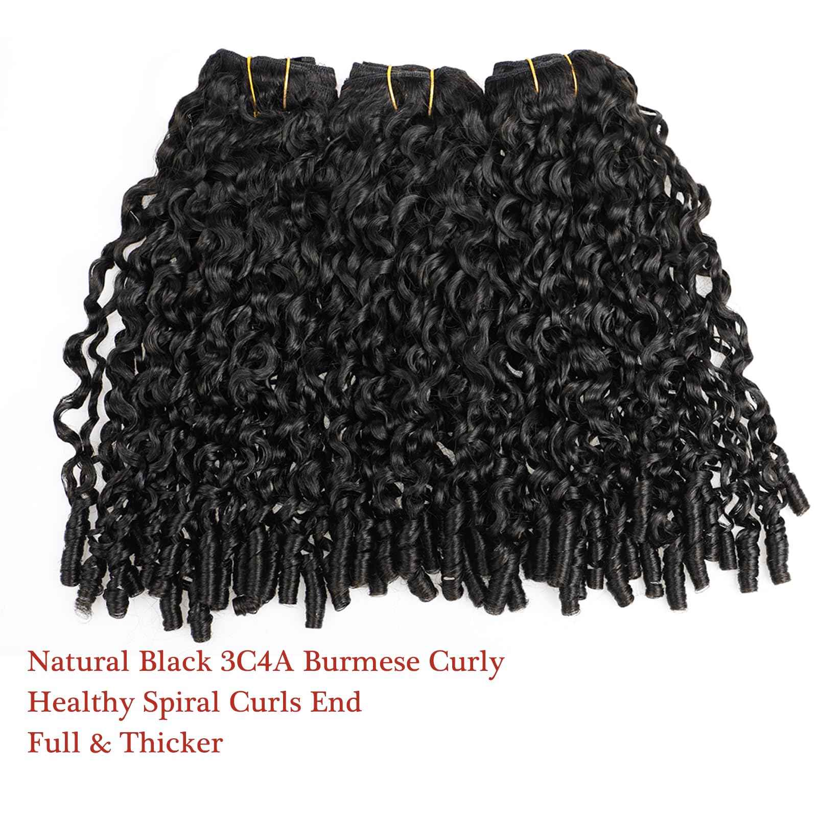 YMS 3C4A Burmese Curly Human Hair Bundles 12 Inch One Curly Bundle Unprocessed Burmese Raw Hair Extension Real Human Hair 16A Natural Color Spiral Curly End Human Hair Weft Extensions