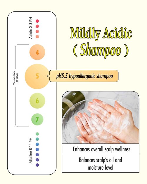 BRMUD Relief Mud Clay Damaged Care Shampoo | ATEEZ Pick | Gentle Damaged Hair Repair Shampoo for Breakage & Thinning Hair w/ 16 Different Plant Oils | for Men & Women (16.9 fl oz)