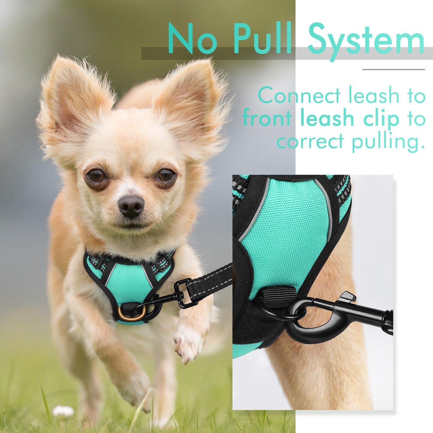 rabbitgoo Dog Harness, No-Pull Pet Harness with 2 Leash Clips, Adjustable Soft Padded Dog Vest, Reflective No-Choke Pet Oxford Vest with Easy Control Handle for Small Dogs, Turquoise, XS