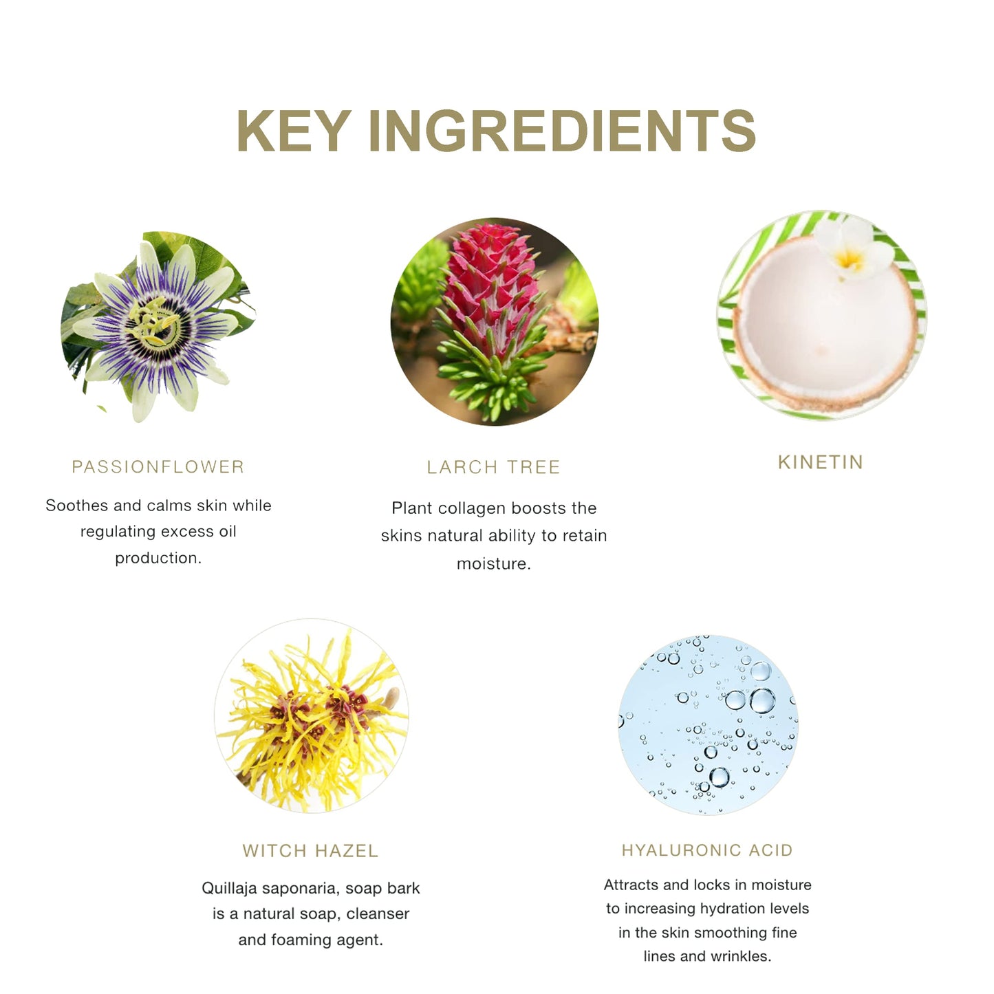 Pure Fiji Coconut Water Hydrating Toning Mist Refreshes, Soothes & Invigorates Skin, Face Mist Hydrating Spray Cruelty-Free for All Skin Types, 4.39 Oz