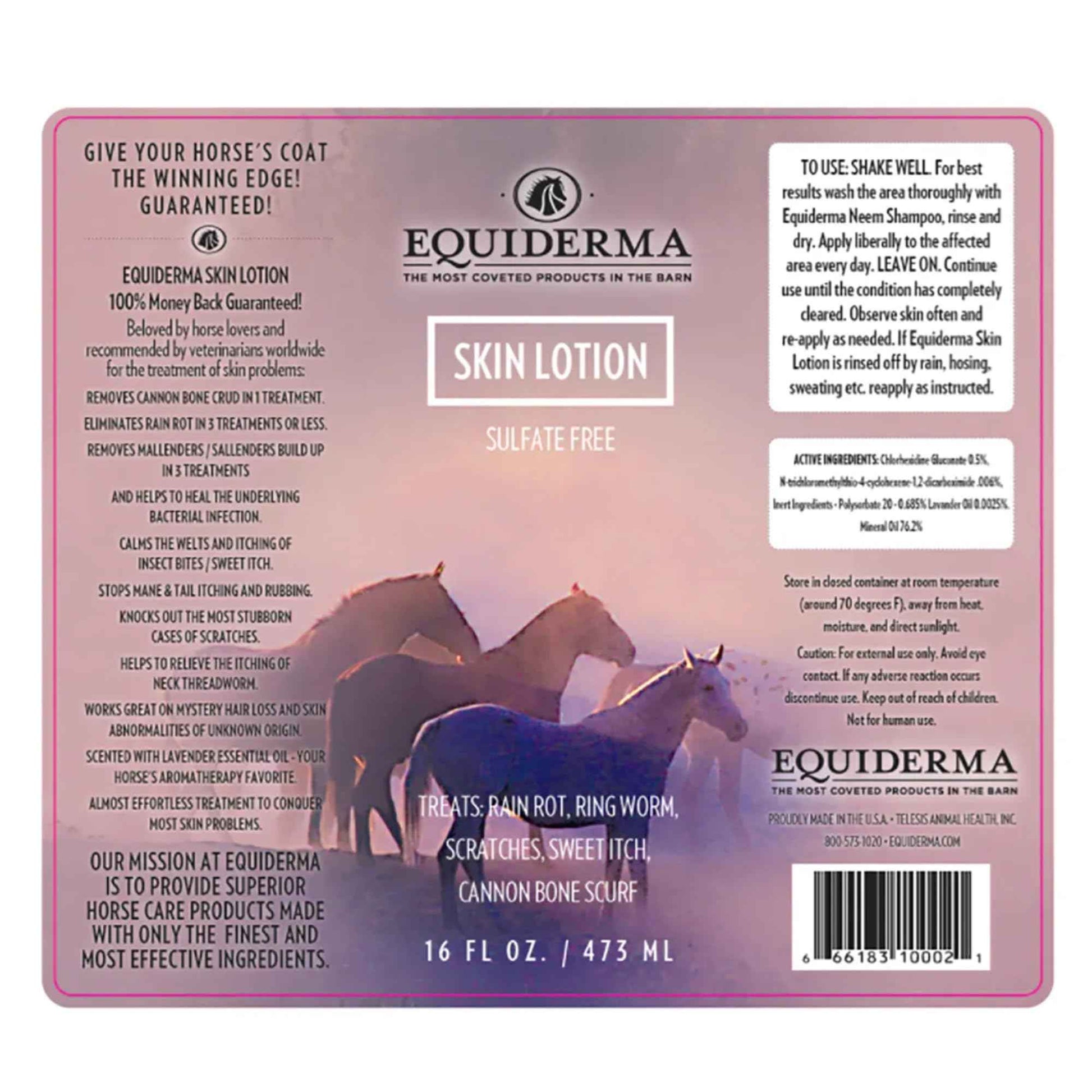 EQUIDERMA Horse Skin Lotion – 16 oz | All-in-One Equine Skin Care for Cannon Bone Scurf, Mane & Tail Itching, Midline Irritation, Dry Patches & Coat Health Support