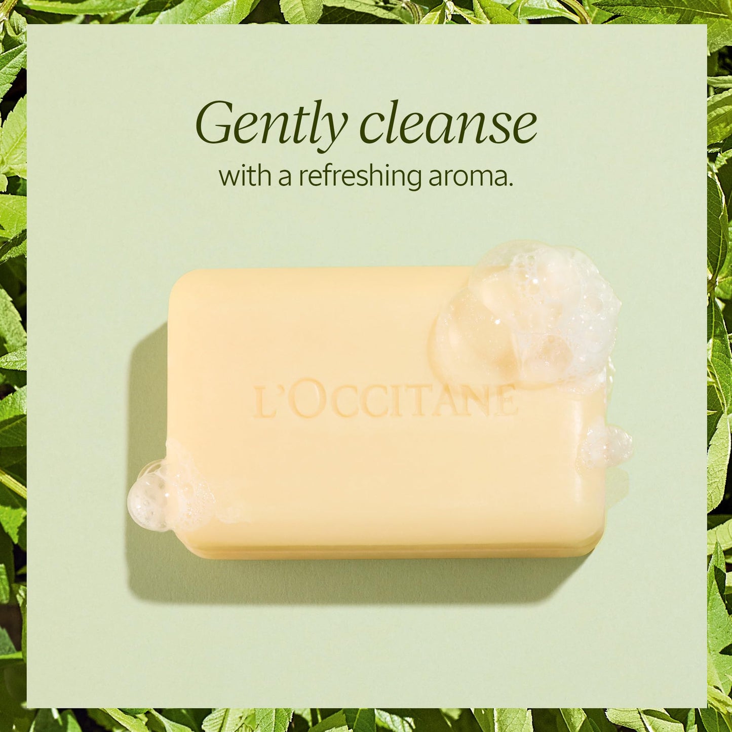 L'OCCITANE Shea Butter Extra-Gentle Solid Soap: Citrusy Shea Verbena, Vegetable Based, Artisanal, Hand & Body Soap, Gently Cleanse, Vegan, 8.8 Oz