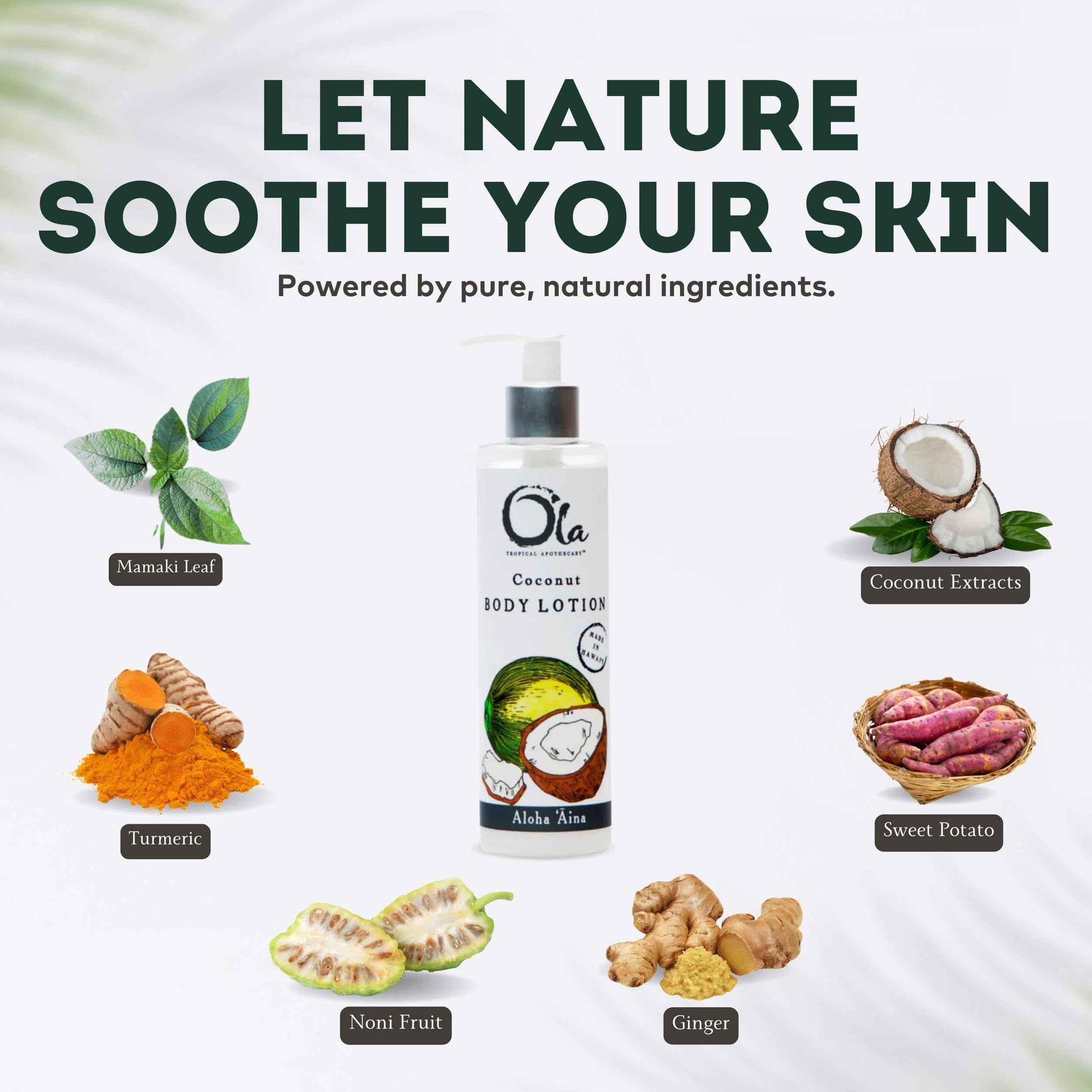 OLA TROPICAL APOTHECARY Coconut Body Lotion with Pure Tropical Oils and Plant Extracts - 8 fl oz