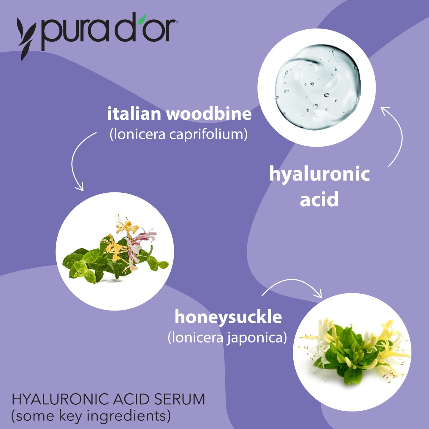 PURA D'OR Hyaluronic Acid Serum For Deep Hydration (3.3oz x3 = 9.9oz) Anti-Aging, Plumping & Moisturizing Formula For Smooth, Supple Skin - Natural Skincare Boost - Fine Lines & Wrinkle Reducer