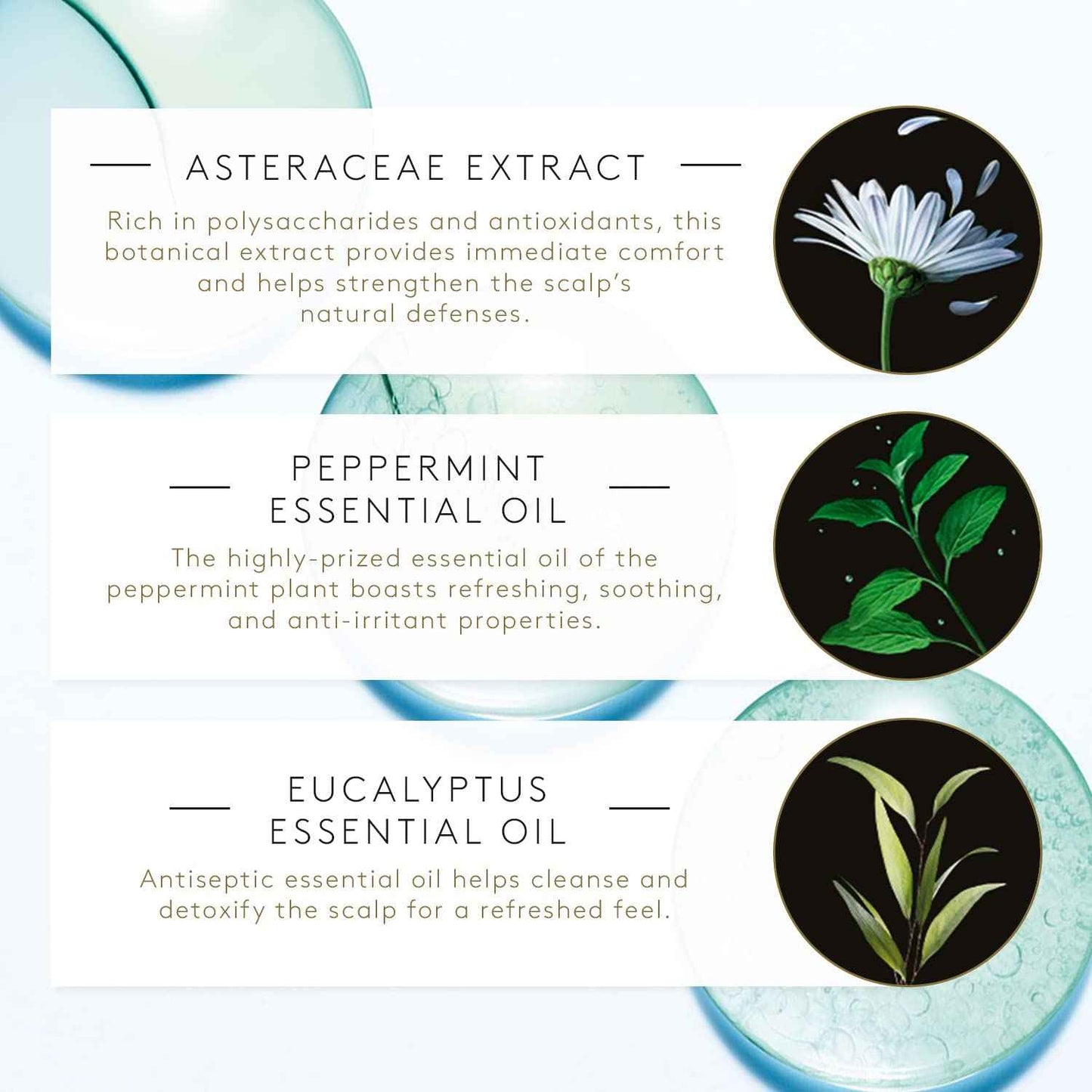 René Furterer ASTERA FRESH Soothing Freshness Shampoo, Irritated & Itchy Scalp, Peppermint, Eucalyptus 6.7 fl. oz.