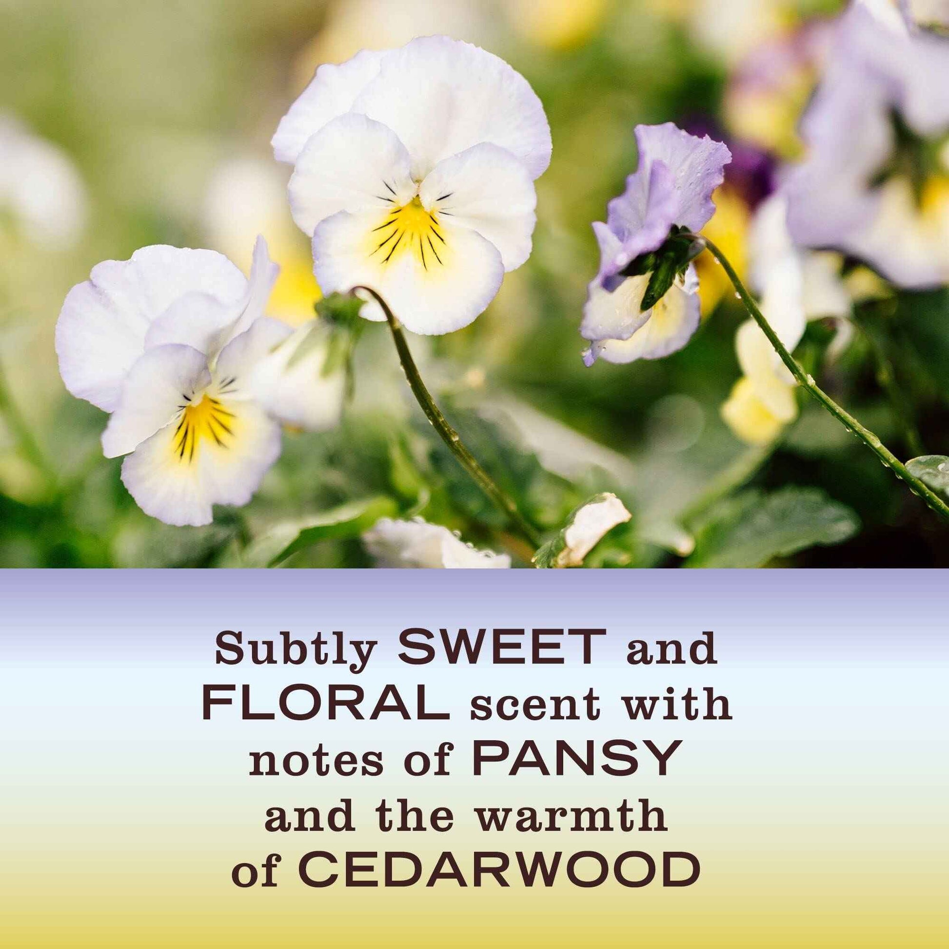 MRS. MEYER'S CLEAN DAY Hand Soap, Made with Essential Oils, Biodegradable Formula & Liquid Hand Soap, Made with Essential Oils, Biodegradable Formula