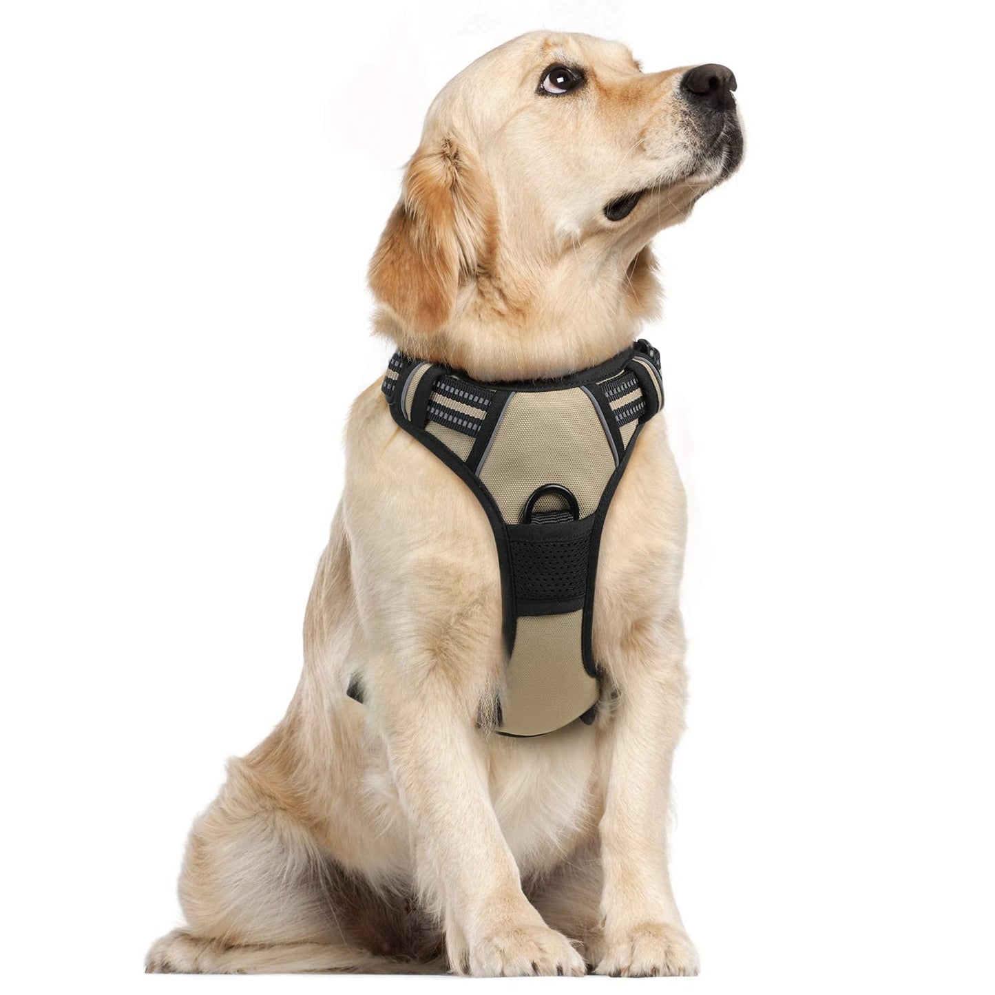 rabbitgoo Dog Harness, No-Pull Pet Harness with 2 Leash Clips, Adjustable Soft Padded Dog Vest, Reflective No-Choke Pet Oxford Vest with Easy Control Handle for Large Dogs, Beige, XL